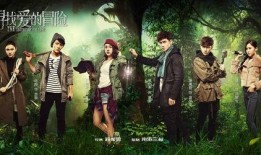 寻宝电视剧,揭秘古墓之谜，探寻千年宝藏传奇